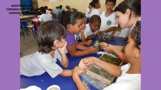 MONTANDO UM
TERRÁRIO PARA NOSSOS
ANIMAIS DE JARDIM

 