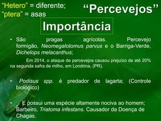 “Hetero” = diferente;
“ptera” = asas
• São pragas agrícolas. Percevejo
formigão, Neomegalotomus parvus e o Barriga-Verde,
Dichelops melacanthus;
Em 2014, o ataque de percevejos causou prejuízo de até 20%
na segunda safra de milho, em Londrina, (PR).
• Podisus spp. é predador de lagarta; (Controle
biológico)
• E possui uma espécie altamente nociva ao homem;
Barbeiro, Triatoma infestans. Causador da Doença de
Chagas.
 