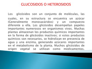 GLUCOSIDOS O HETEROSIDOS

 