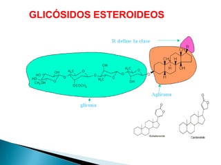 GLICÓSIDOS ESTEROIDEOS

 