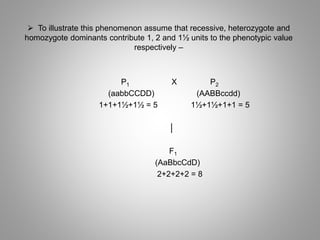  To illustrate this phenomenon assume that recessive, heterozygote and
homozygote dominants contribute 1, 2 and 1½ units to the phenotypic value
respectively –
P1 X P2
(aabbCCDD) (AABBccdd)
1+1+1½+1½ = 5 1½+1½+1+1 = 5
│
F1
(AaBbcCdD)
2+2+2+2 = 8
 