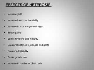 EFFECTS OF HETEROSIS -
• Increase yield
• Increased reproductive ability
• Increase in size and general vigor
• Better quality
• Earlier flowering and maturity
• Greater resistance to disease and pests
• Greater adaptability
• Faster growth rate
• Increase in number of plant parts
 