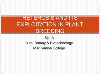 Sijo.A
B.sc. Botany & Biotechnology
Mar ivanios College
HETEROSIS AND ITS
EXPLOITATION IN PLANT
BREEDING
 