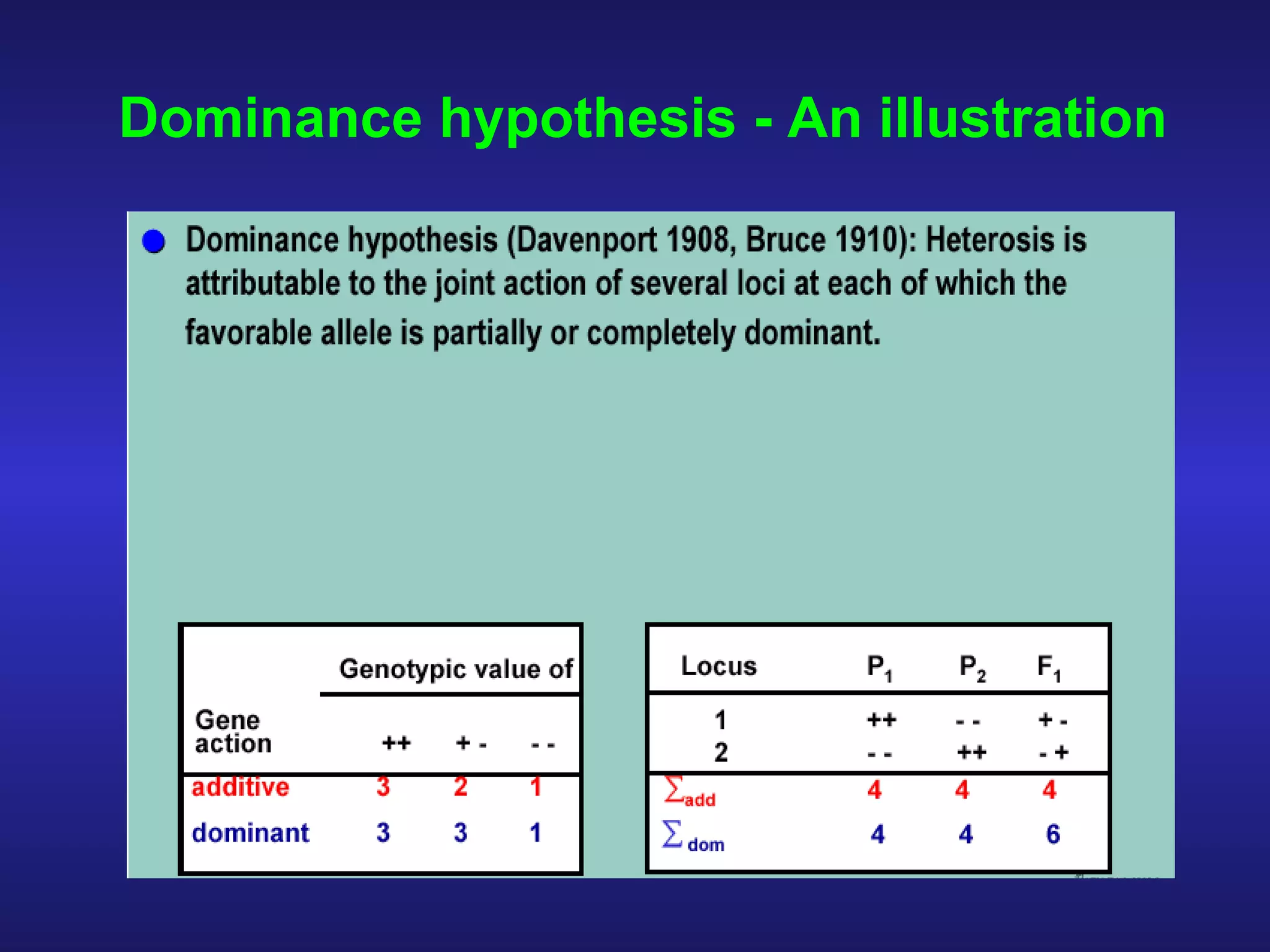 Dominance hypothesis - An illustration 