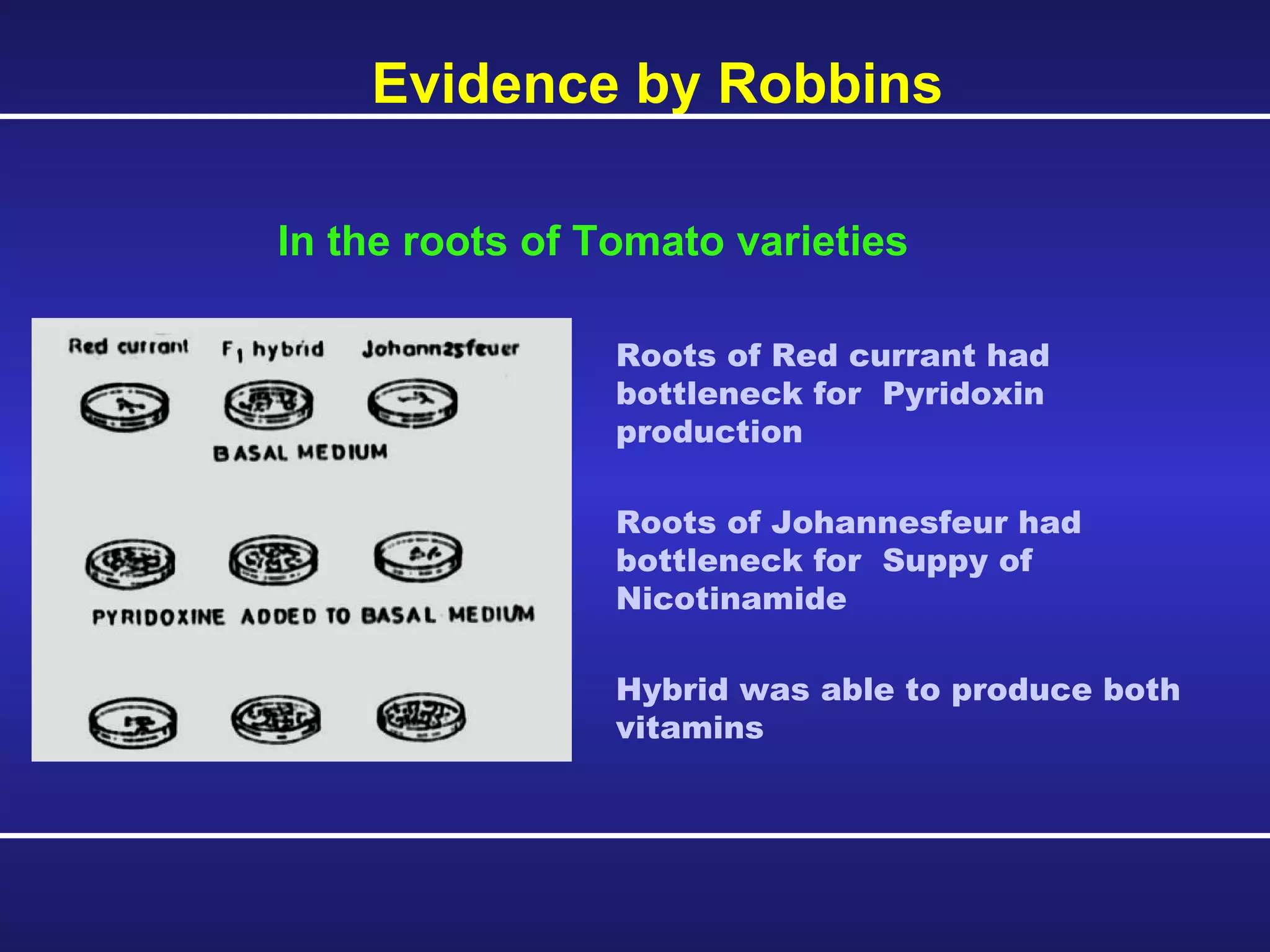Evidence by Robbins Roots of Red currant had bottleneck for  Pyridoxin production  Roots of Johannesfeur had bottleneck for  Suppy of Nicotinamide Hybrid was able to produce both vitamins In the roots of Tomato varieties 