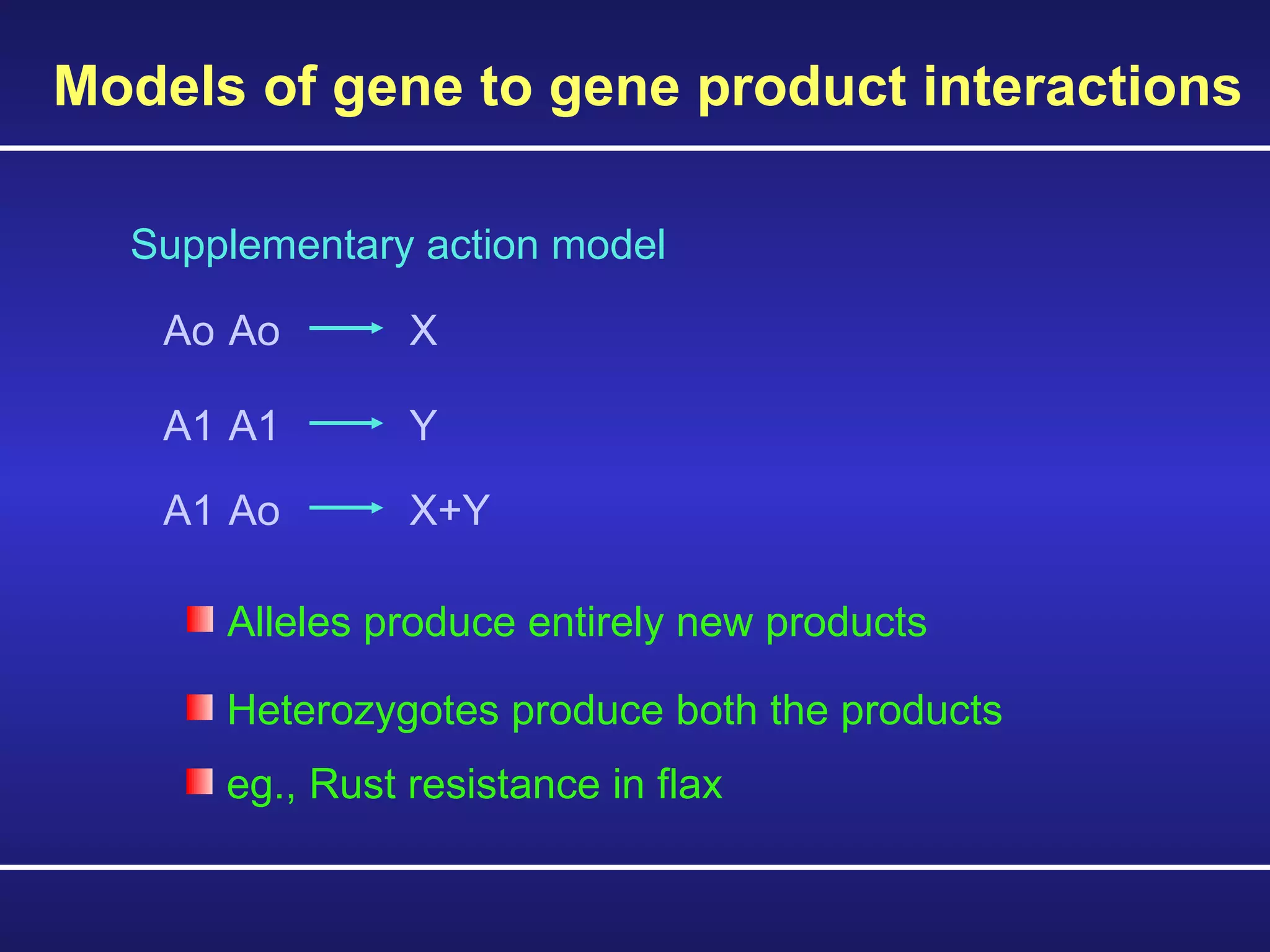 Models of gene to gene product interactions Supplementary action model Ao Ao  X  A1 A1  Y  A1 Ao  X+Y  Alleles produce entirely new products Heterozygotes produce both the products eg., Rust resistance in flax 