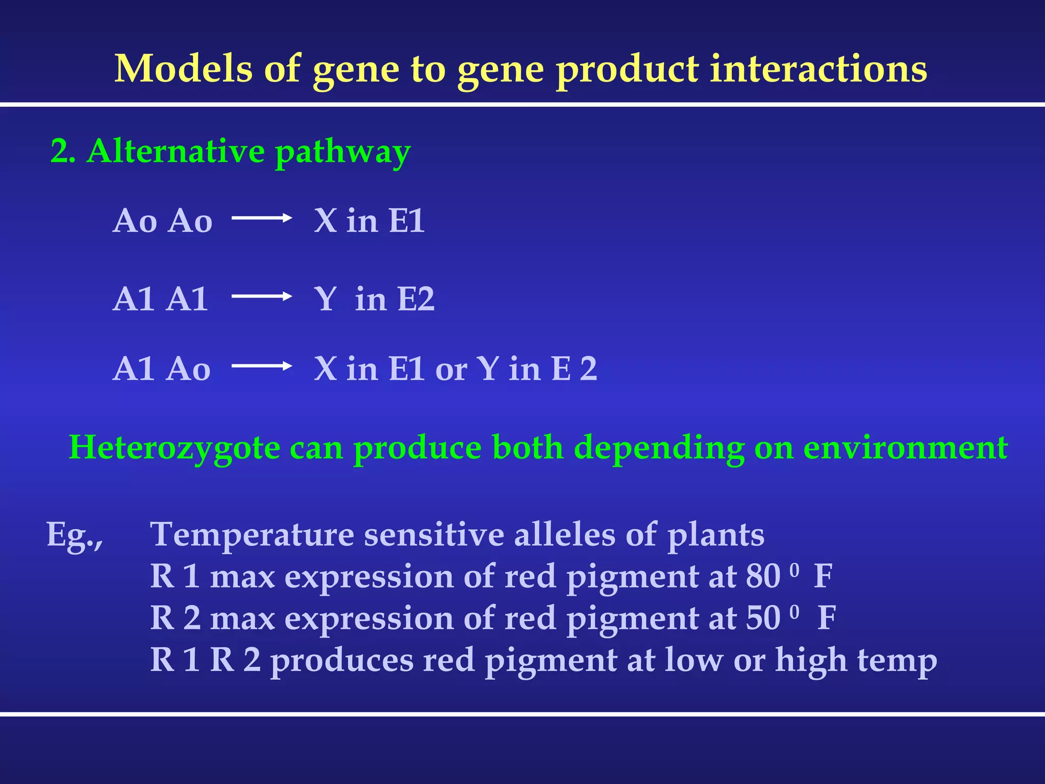 Models of gene to gene product interactions 2. Alternative pathway Ao Ao  X in E1  A1 A1  Y  in E2 A1 Ao  X in E1 or Y in E 2 Heterozygote can produce both depending on environment Eg., Temperature sensitive alleles of plants R 1 max expression of red pigment at 80  0  F R 2 max expression of red pigment at 50  0   F R 1 R 2 produces red pigment at low or high temp 