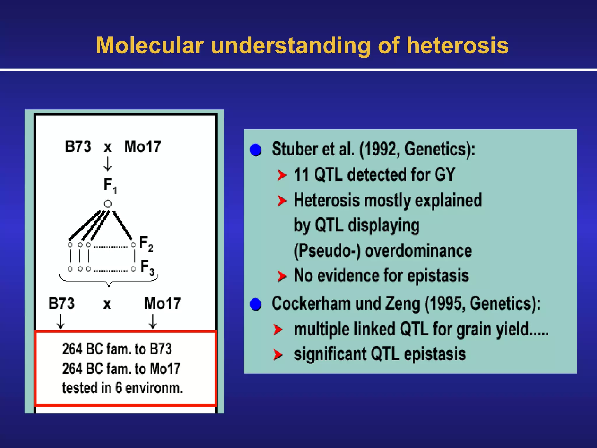 Molecular understanding of heterosis 