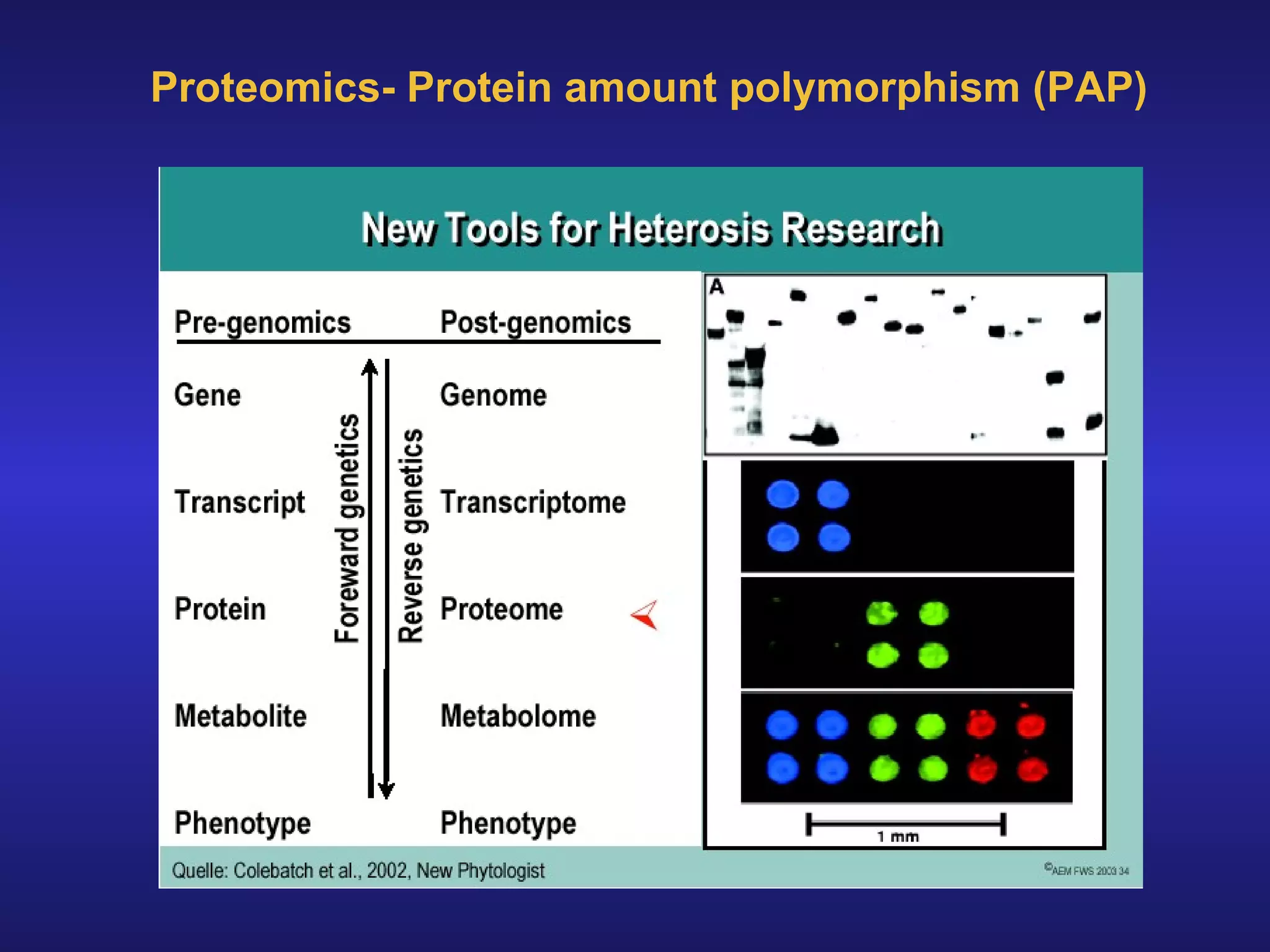 Proteomics- Protein amount polymorphism (PAP) 