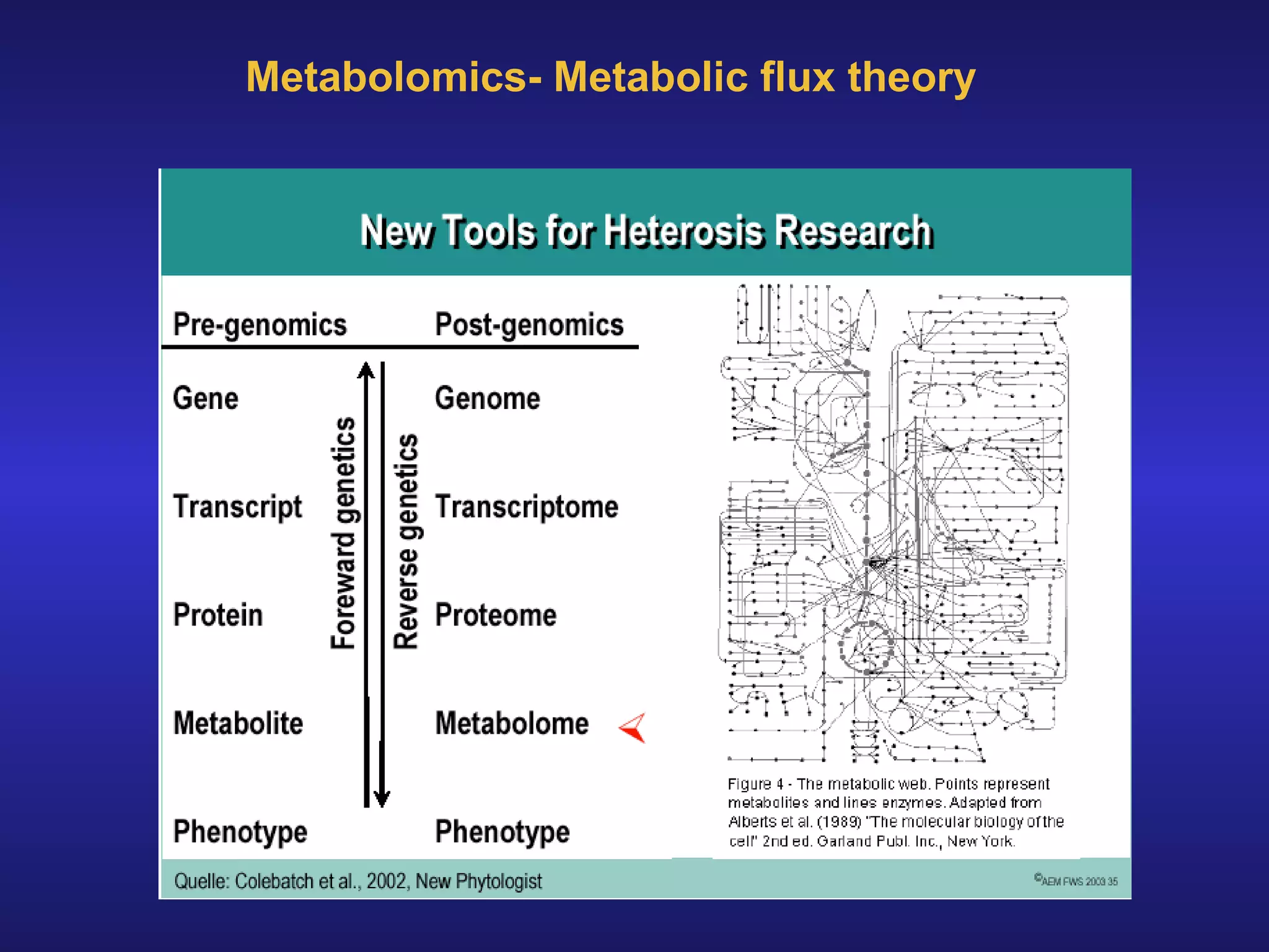 Metabolomics- Metabolic flux theory 