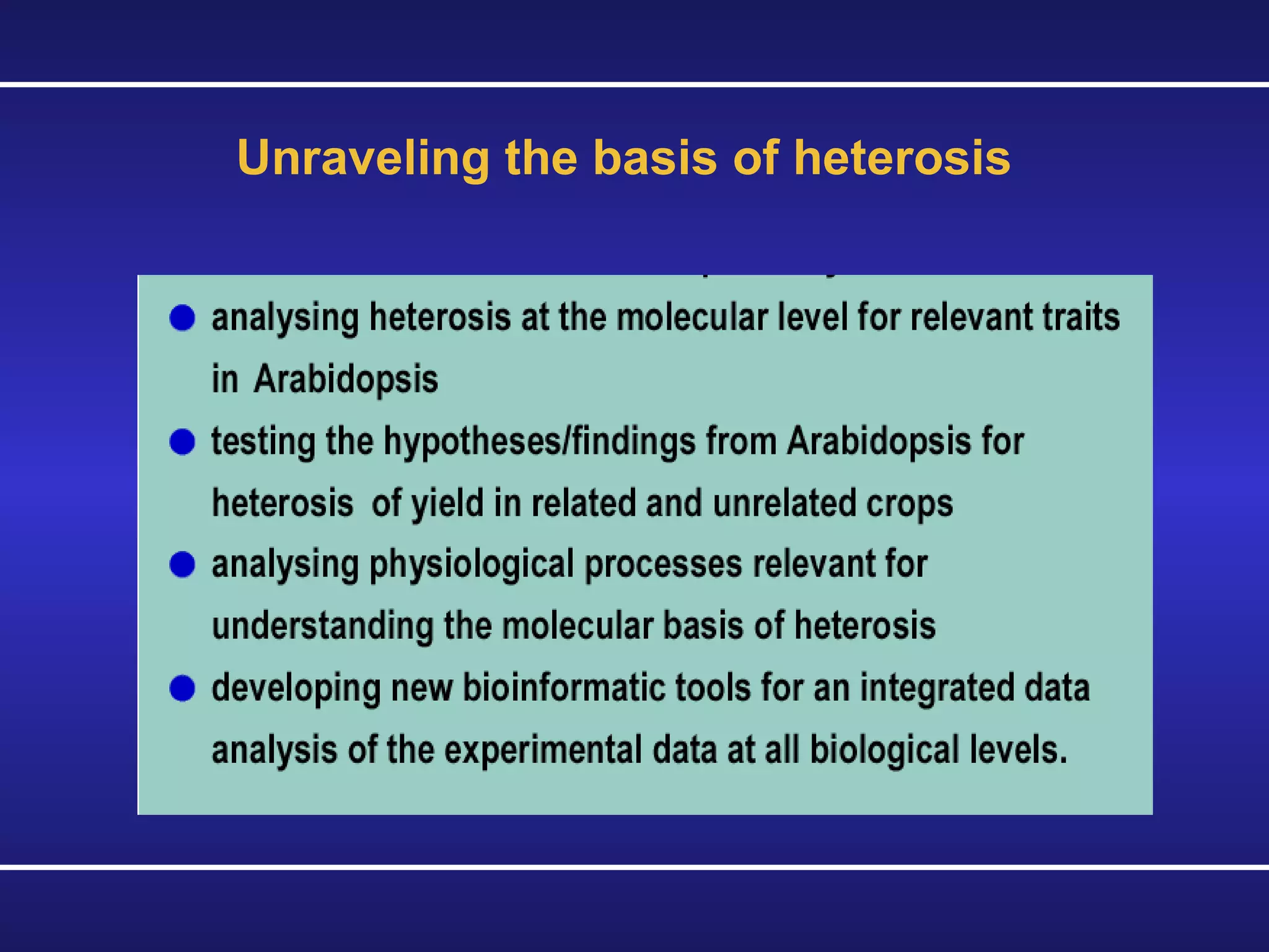 Unraveling the basis of heterosis 