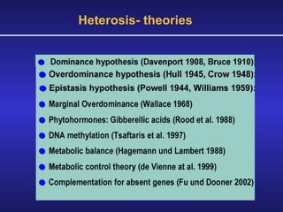 Heterosis- theories 