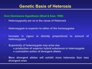 Genetic Basis of Heterosis Over Dominance Hypothesis (Shull & East, 1908) Heterozygosity per se is the cause of Heterosis Heterozygote is superior to either of the homozygotes  Increase in vigour is directly proportional to amount of heterozygosis Superiority of heterozygote may arise due  ●  production of superior hybrid substance in heterozygote ●  cumulative action of divergent alleles More divergent alleles will exhibit more heterosis than less divergent ones 