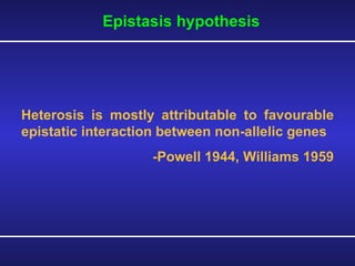 Epistasis hypothesis  Heterosis is mostly attributable to favourable epistatic interaction between non-allelic genes -Powell 1944, Williams 1959  