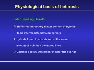 Later Seedling Growth Hoffer found root dry matter content of hybrids  to be intermediate between parents Hybrids found to absorb and utilize more  amount of N ,P than the inbred lines Catalase activity was higher in heterotic hybrids  Physiological basis of heterosis   