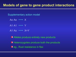 Models of gene to gene product interactions Supplementary action model Ao Ao  X  A1 A1  Y  A1 Ao  X+Y  Alleles produce entirely new products Heterozygotes produce both the products eg., Rust resistance in flax 