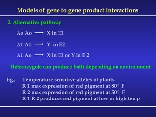 Models of gene to gene product interactions 2. Alternative pathway Ao Ao  X in E1  A1 A1  Y  in E2 A1 Ao  X in E1 or Y in E 2 Heterozygote can produce both depending on environment Eg., Temperature sensitive alleles of plants R 1 max expression of red pigment at 80  0  F R 2 max expression of red pigment at 50  0   F R 1 R 2 produces red pigment at low or high temp 
