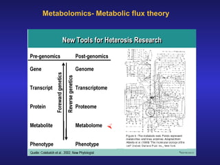 Metabolomics- Metabolic flux theory 