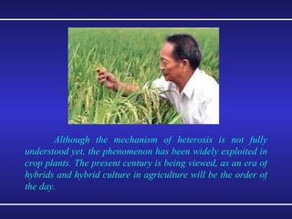 Although the mechanism of heterosis is not fully understood yet, the phenomenon has been widely exploited in crop plants. The present century is being viewed, as an era of hybrids and hybrid culture in agriculture will be the order of the day.   