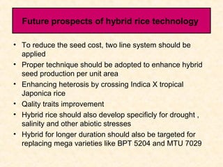 Heterosis Breeding in Rice | PPT