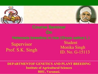 Course Seminar
On
Heterosis breeding in rice (Oryza sativa L.)
Supervisor
Prof. S.K. Singh
Student
Monika Singh
ID. No. G-15113
DEPARTMENTOF GENETICS AND PLANT BREEDING
Institute of Agricultural Sciences
BHU, Varanasi.
 