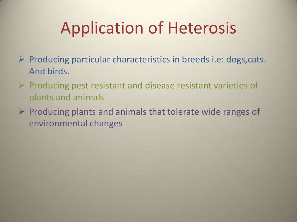 Heterosis