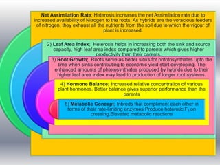 heterosis ppt zahid mushtaq 10.pptx