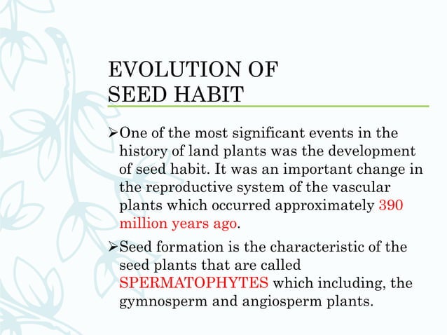 Heterospory and evolution of seed habit | PPTX