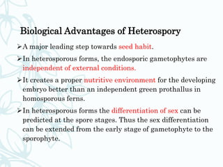 What Does Heterospory Mean? – Why Do Heterosporous Plants Have So Few ...