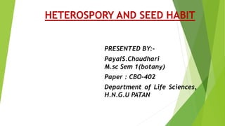 HETEROSPORY AND SEED HABIT
PRESENTED BY:-
PayalS.Chaudhari
M.sc Sem 1(botany)
Paper : CBO-402
Department of Life Sciences,
H.N.G.U PATAN
 