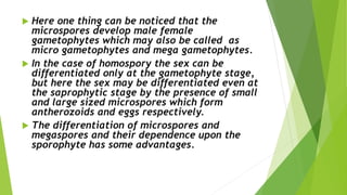  Here one thing can be noticed that the
microspores develop male female
gametophytes which may also be called as
micro gametophytes and mega gametophytes.
 In the case of homospory the sex can be
differentiated only at the gametophyte stage,
but here the sex may be differentiated even at
the saprophytic stage by the presence of small
and large sized microspores which form
antherozoids and eggs respectively.
 The differentiation of microspores and
megaspores and their dependence upon the
sporophyte has some advantages.
 