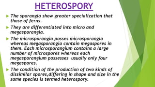 heterospory and seed habit pdf