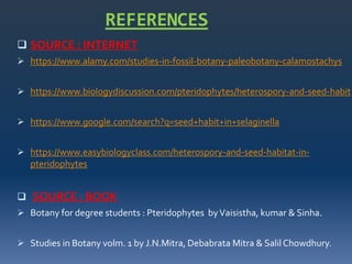 REFERENCES
 SOURCE : INTERNET
 https://www.alamy.com/studies-in-fossil-botany-paleobotany-calamostachys
 https://www.biologydiscussion.com/pteridophytes/heterospory-and-seed-habit
 https://www.google.com/search?q=seed+habit+in+selaginella
 https://www.easybiologyclass.com/heterospory-and-seed-habitat-in-
pteridophytes
 SOURCE : BOOK
 Botany for degree students : Pteridophytes byVaisistha, kumar & Sinha.
 Studies in Botany volm. 1 by J.N.Mitra, Debabrata Mitra & SalilChowdhury.
 