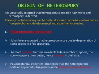 Heterospory and seed habit by Subham saha | PPTX