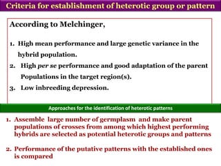 According to Melchinger,
1. High mean performance and large genetic variance in the
hybrid population.
2. High per se performance and good adaptation of the parent
Populations in the target region(s).
3. Low inbreeding depression.
Criteria for establishment of heterotic group or pattern
Approaches for the identification of heterotic patterns
1. Assemble large number of germplasm and make parent
populations of crosses from among which highest performing
hybrids are selected as potential heterotic groups and patterns
2. Performance of the putative patterns with the established ones
is compared
 