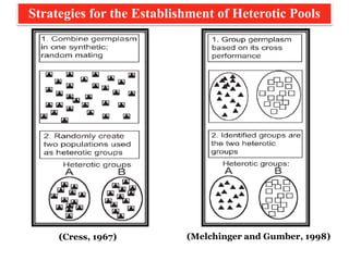 (Cress, 1967) (Melchinger and Gumber, 1998)
Strategies for the Establishment of Heterotic Pools
 