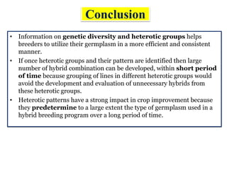 Conclusion
• Information on genetic diversity and heterotic groups helps
breeders to utilize their germplasm in a more efficient and consistent
manner.
• If once heterotic groups and their pattern are identified then large
number of hybrid combination can be developed, within short period
of time because grouping of lines in different heterotic groups would
avoid the development and evaluation of unnecessary hybrids from
these heterotic groups.
• Heterotic patterns have a strong impact in crop improvement because
they predetermine to a large extent the type of germplasm used in a
hybrid breeding program over a long period of time.
 