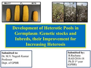 Development of Heterotic Pools in
Germplasm /Genetic stocks and
Inbreds, their Improvement for
Increasing Heterosis
Submitted by:
B.Rachana
RAD/2018-18
Ph.D 1st year
(GPBR)
Submitted to:
Dr. M.V. Nagesh Kumar
Professor
Dept. of GPBR
 