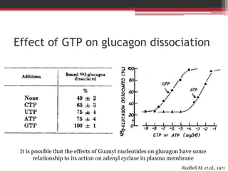 Effect of GTP on glucagon dissociation




 It is possible that the effects of Guanyl nucleotides on glucagon have some
       relationship to its action on adenyl cyclase in plasma membrane
                                                                  Rodbell M. et.al., 1971
 