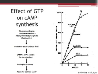 Effect of GTP
   on cAMP
  synthesis




                Rodbell M. et.al., 1971
 