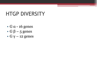 HTGP DIVERSITY

• G α - 16 genes
• G β – 5 genes
• G γ – 12 genes
 