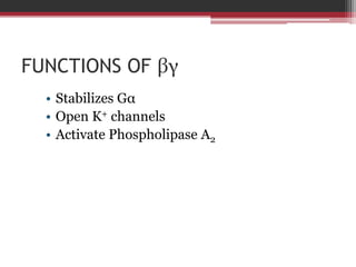 FUNCTIONS OF βγ
  • Stabilizes Gα
  • Open K+ channels
  • Activate Phospholipase A2
 