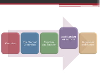 MECHANISM
                                         OF ACTION
           The Story of    Structure                 G-proteins
Overview
           G-proteins     and function               and disease
 