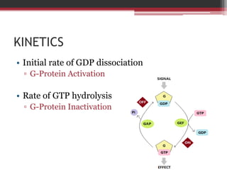 KINETICS
• Initial rate of GDP dissociation
  ▫ G-Protein Activation

• Rate of GTP hydrolysis
  ▫ G-Protein Inactivation
 