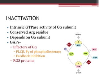 INACTIVATION
•   Intrinsic GTPase activity of Gα subunit
•   Conserved Arg residue
•   Depends on Gα subunit
•   GAPs-
    ▫ Effectors of Gα
       PLCβ, Pγ of phosphodiesterase
       Feedback inhibition
    ▫ RGS proteins
 