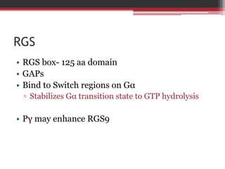 RGS
• RGS box- 125 aa domain
• GAPs
• Bind to Switch regions on Gα
 ▫ Stabilizes Gα transition state to GTP hydrolysis

• Pγ may enhance RGS9
 