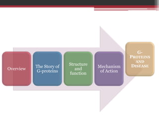 G-
                                                   PROTEINS
                                                     AND
                          Structure                DISEASE
           The Story of               Mechanism
Overview                     and
           G-proteins                  of Action
                          function
 