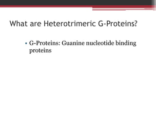 What are Heterotrimeric G-Proteins?

    • G-Proteins: Guanine nucleotide binding
      proteins
 