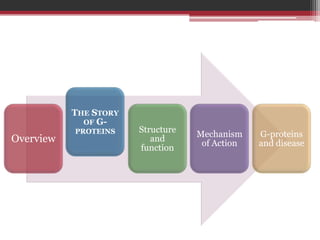 THE STORY
             OF G-
           PROTEINS    Structure
                                   Mechanism    G-proteins
Overview                  and
                                    of Action   and disease
                       function
 