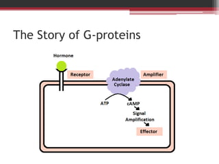 The Story of G-proteins
 